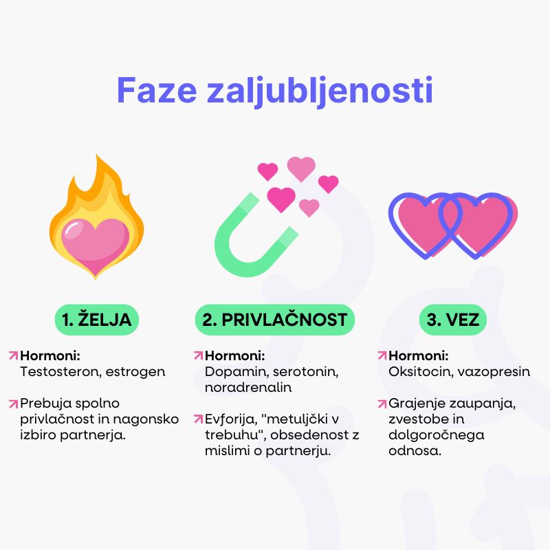 (Slovinština) (75)